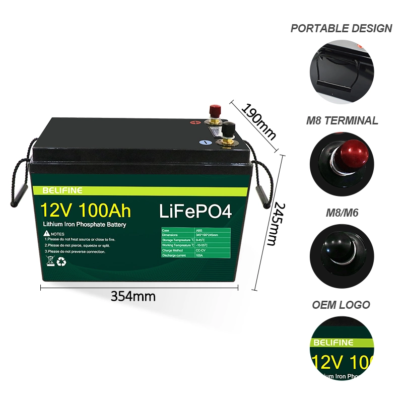 LiFePO4 Lithium Iron Phosphate Battery Pack 12V 100ah with BMS for Solar System RV Electric Car Scooter Motorcycle Boat