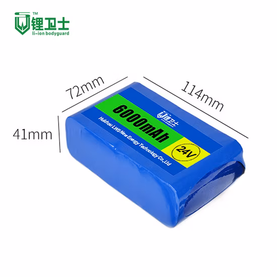Batería de bicicleta eléctrica de hierro y litio Lws 24V 8s1p 2000mAh Paquete de batería